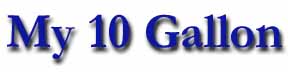 My 10 Gallon