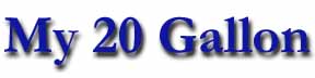 My 20 Gallon