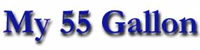 My 55 Gallon