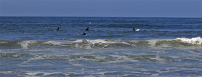 surfers