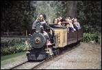 sfzoo train 197