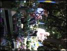 IMG 0318.JPG