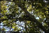 060910- DSC0009.JPG
