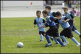060910- DSC0153.JPG