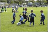 060910- DSC0195.JPG