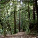 IMG 1482-rincontrail-650px