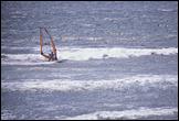 040617-windsurfer-800px